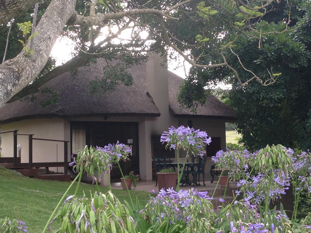 Waterryk Eco Guest Farm Apartment Stilbaai Luaran gambar
